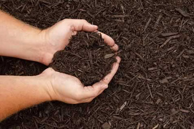 Mulching Services Cost
