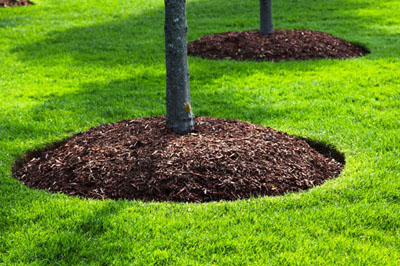 Mulching Services