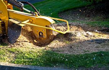 Stump Grinding Services