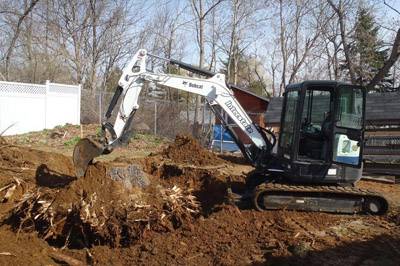 Stump Removal