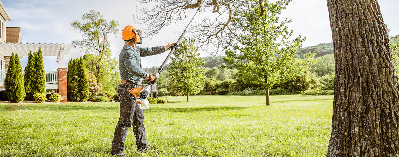 Tree Pruning & Maintenance