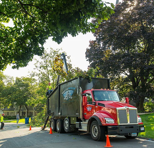 National Tree Services Technology